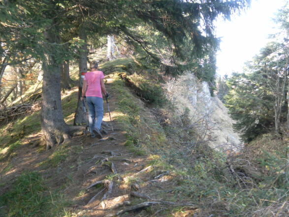 Kammweg Illingerberg