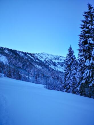 Diese Wiese wird dann in Richtung links überquert bis zum Wald im Forstweg. Immer im Blick: Der Regenspitz.