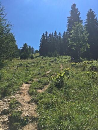 Wanderweg zum Felsenfenster