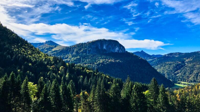Blick auf den Feichtenstein