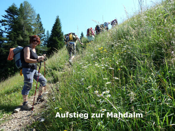 Aufstieg Mahdalm
