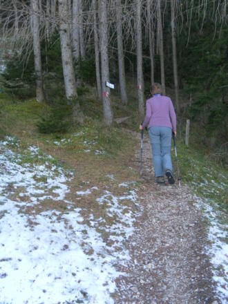 Elferstein Nordgratrücken