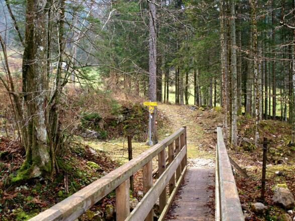 Steg 720m (Wegteilung)