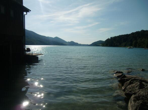 Blick von Fuschl auf den See