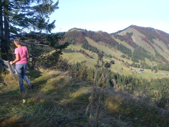 Zwölferhorn und Pillstein vom Apfelkoch