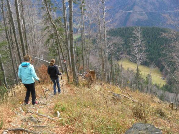 Blick vom Ostrücken zur Sattelalm