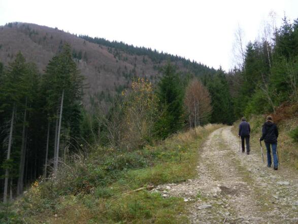 Schmiedhorn jenseits des Schmiedhorngrabens