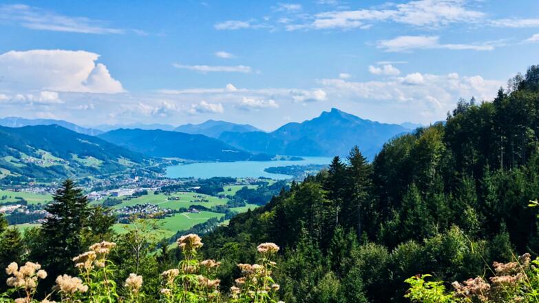 Blick zum Mondsee mit Schafberg