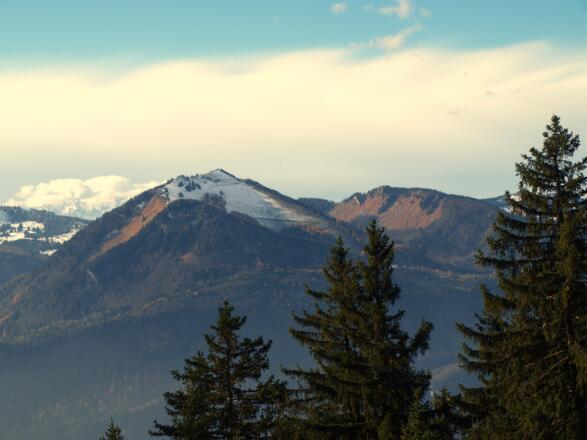 Blick zum Zwölferhorn um 1250m vor dem Hochwald