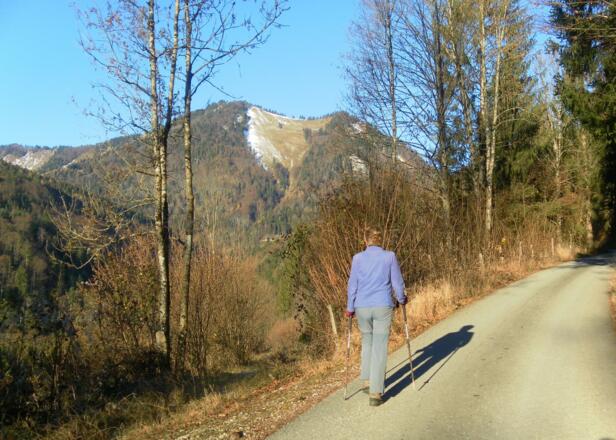 Zwölferhorn aus dem Steingraben