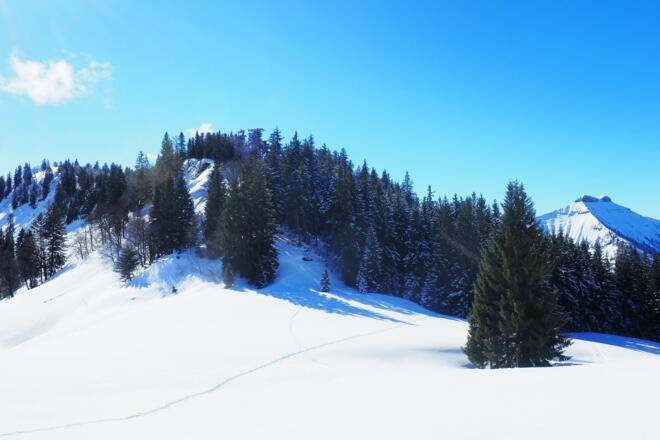 Ansatz NO-Grat 1355m, besser rechts umgehen