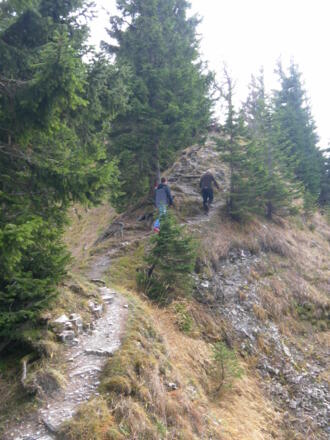 Kammwanderung über den Illingerberg