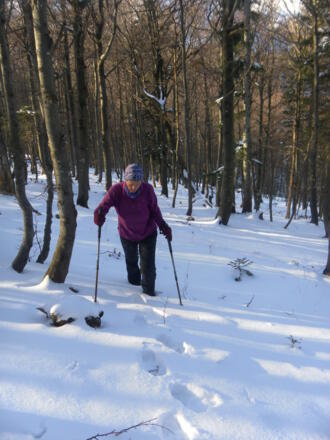 freier Waldanstieg zum Höllkar