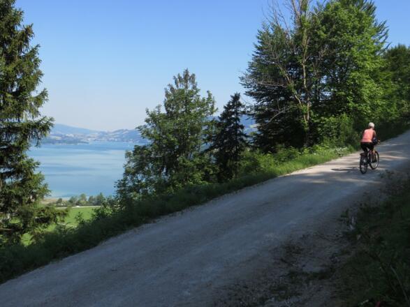 Auffahrt zur Eisenaueralm