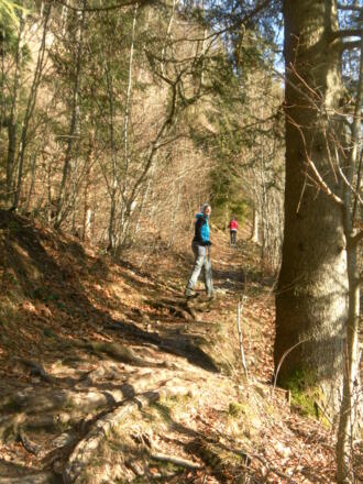 bewaldete Südflanke