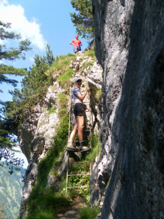 ausgesetzte Einstiegsleiter