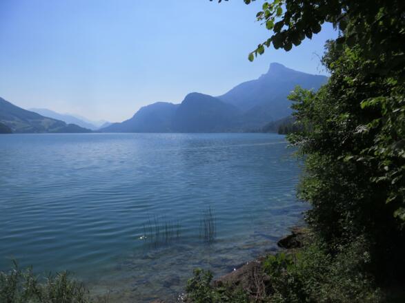 Hier am Mondseeufer gehts los!