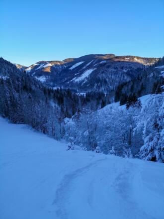 Rückblick nach Hintersee - ca. 20 Minuten nach dem Start - der Anstieg über die erste freie Wiese