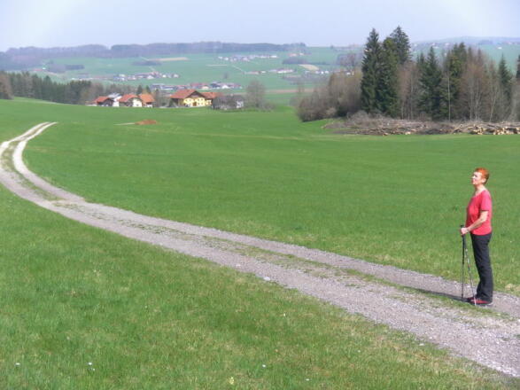 Güterweg zurück nach Haslach