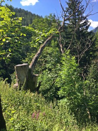 Wanderung auf den Bleckwand 