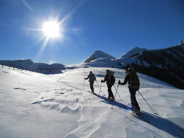 unterhalb der Feichtensteinalm, mittig das Gennerhorn