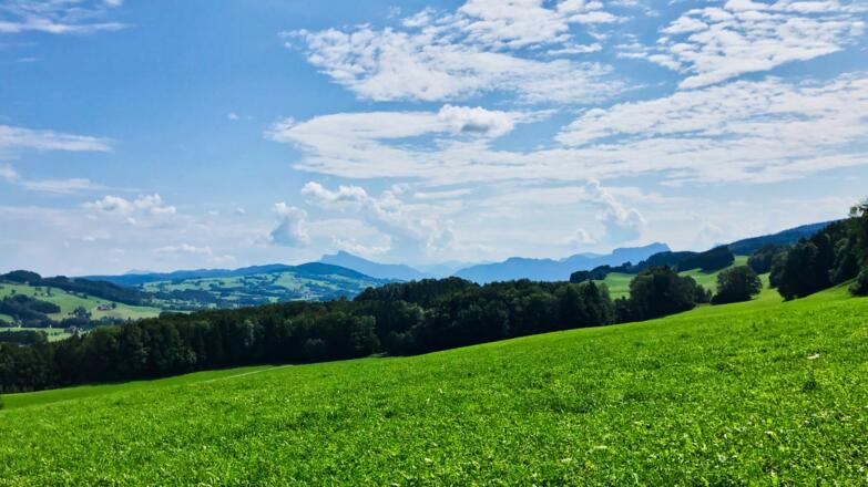 Blick Richtung Mondsee mit Schafberg