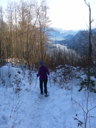 Abstieg zum Almkogelsattel