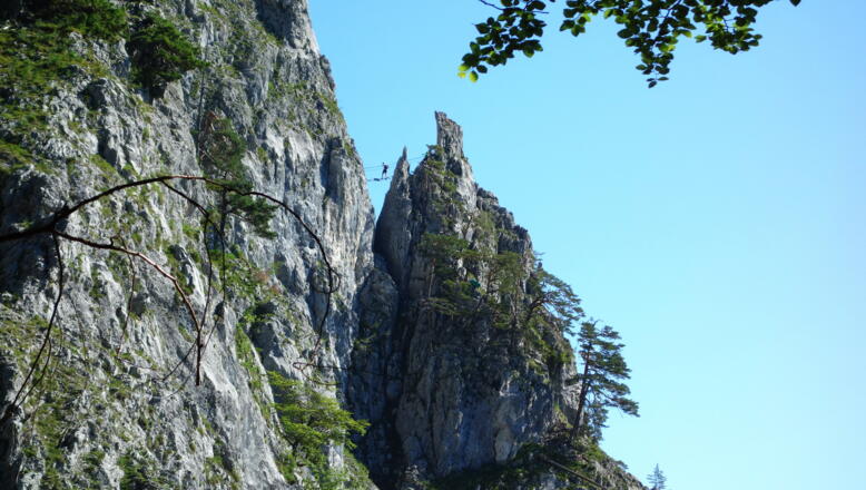 Hängebrücke vom Abstieg (Normalweg) gesehen