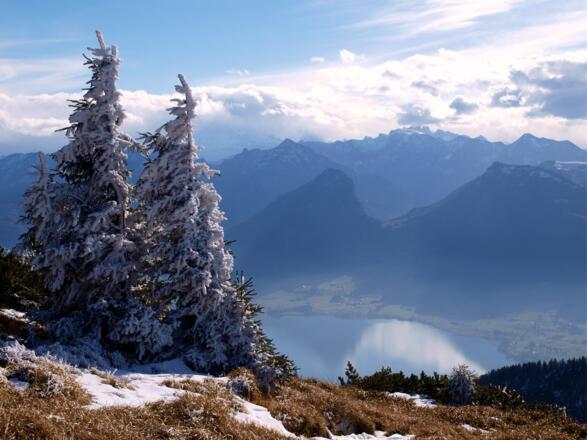 Abstieg zum Reiningspitz 1460m mit Gosaukamm.