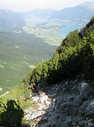 schrofige Latschengassen