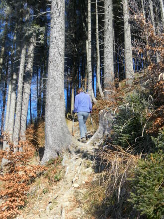 Zustieg zum Filbling NW-Grat