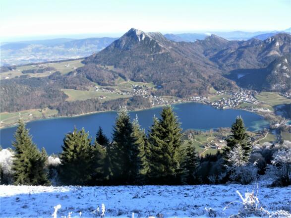 Schober hinter Fuschlsee