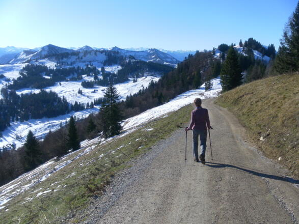 Weg zum Pillstein, links Illingeralm/berg
