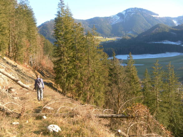 Querung zum Steinbräu