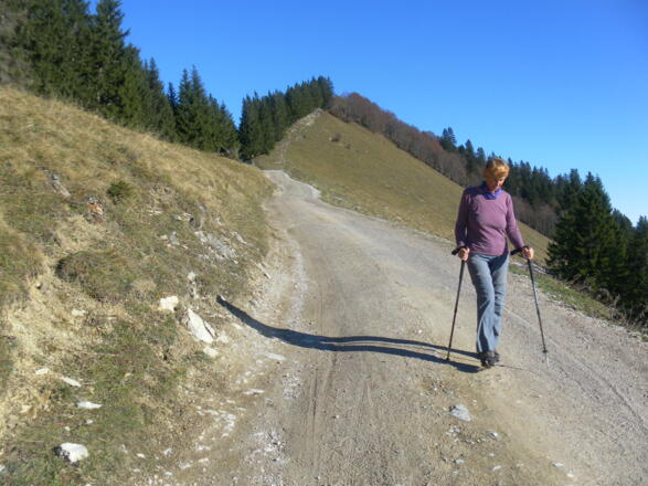 Zwölferhorn Südwestgrat