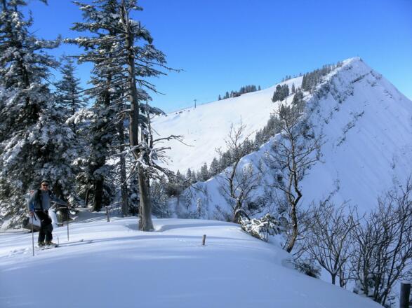 Wieserhörndl SO-Grat