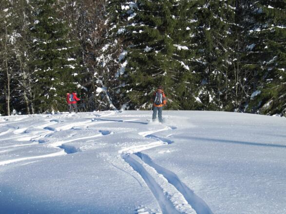 Beginn der Waldabfahrt, keine Probleme!