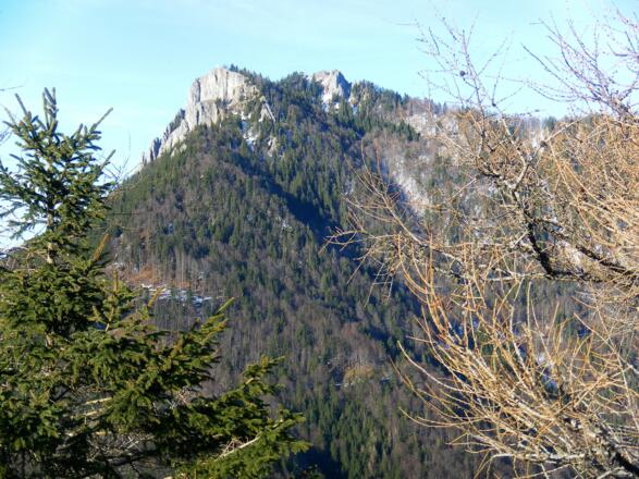 Frauenstein und Schober
