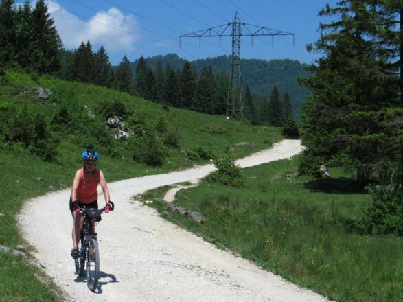 immer abwärts zum Schwarzensee