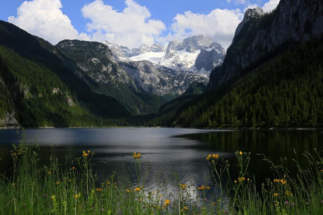 Frühling am Gosausee