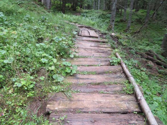 Stege im &quot;Urzeitwald&quot; beim Ansteig zur Sonnenalm