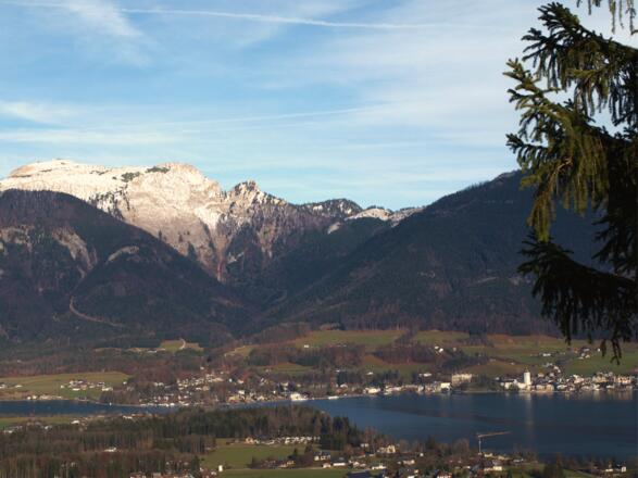 Vitz Sparber 760m mit Schafbergblick