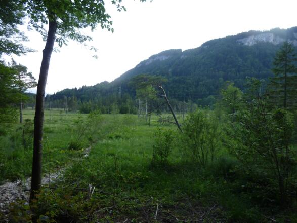 Hochmoor &quot;Egelseen&quot;