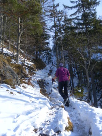 Hohlweg zum Wallhüttensattel