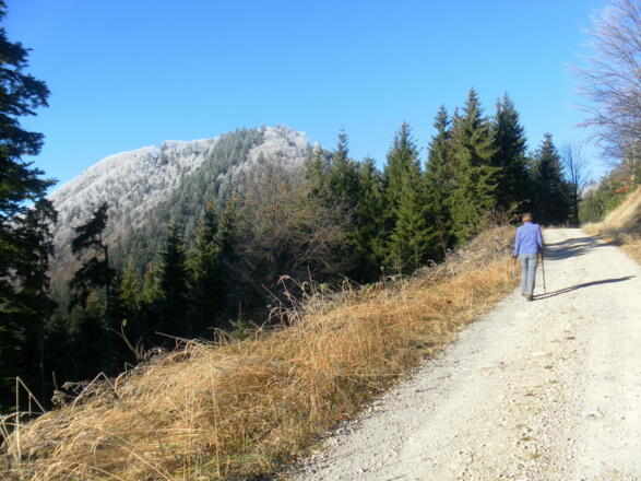 Schmiedhorn links des Sattels