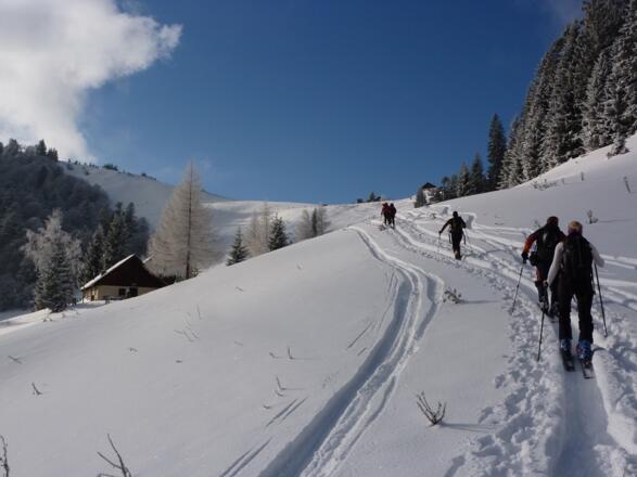 Der Tourenlehrpfad kurz vor dem Sattel zwischen Loibersbacherhöhe und Faistenauer Schafberg