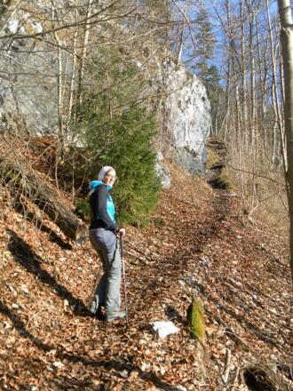 erdig-wurzeliger Wanderpfad