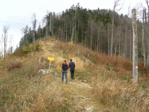 Abzweig zum Filblingsee