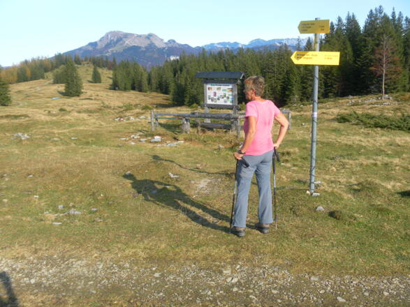 Spitzeck vor dem Schafberg