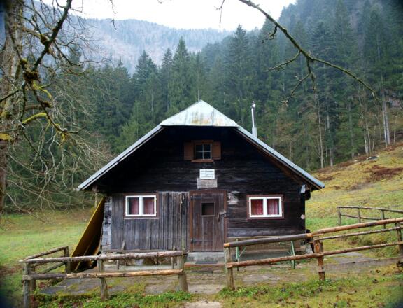 Obere Schöffaualpe 805m